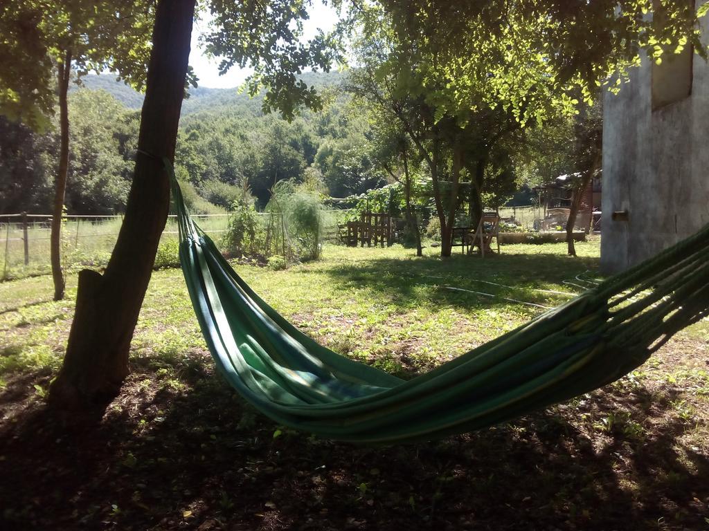 Ca La Iaia Veva Apartment Sant Joan les Fonts Luaran gambar
